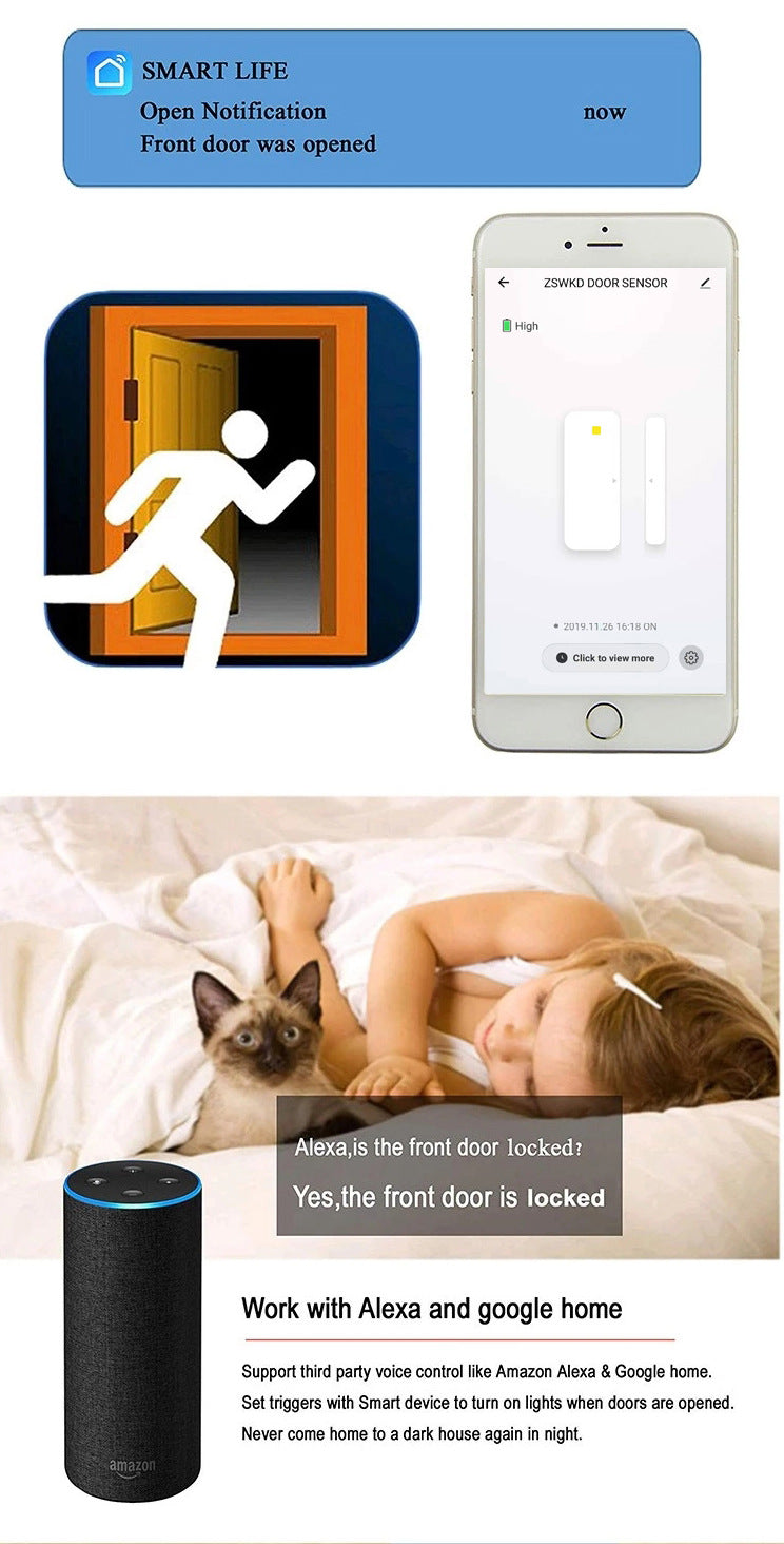Smart WiFi Anti-theft Alarm